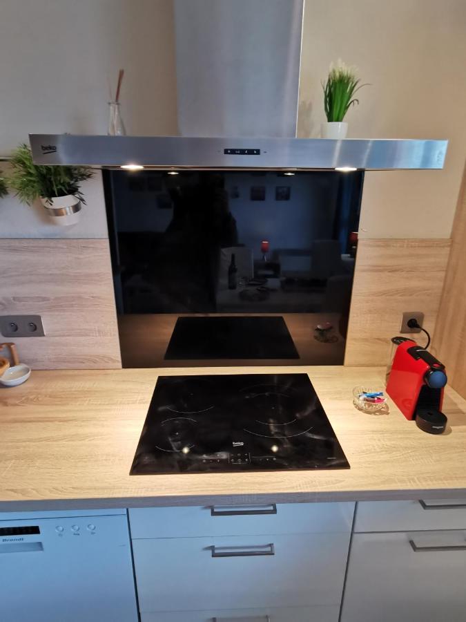 Le Duplex - Hyper Centre - Gare - Wifi - Netflix - Disney + Annecy Exteriör bild
